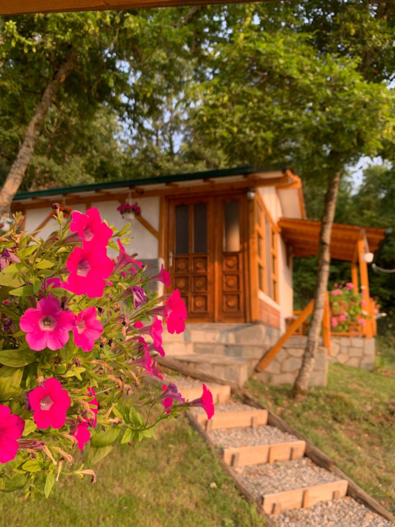 Sunset House Lägenhet Ohrid Exteriör bild